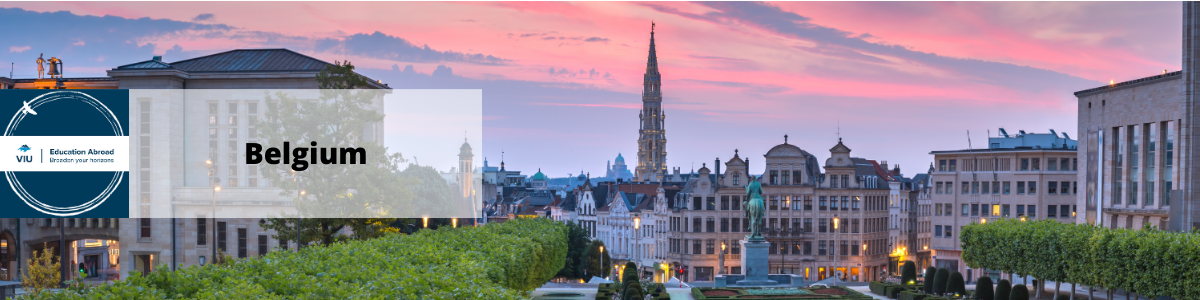 The city of Brussels, Belgium at sunset.